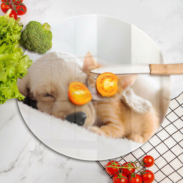 De vidrio templado Animales perro y gato