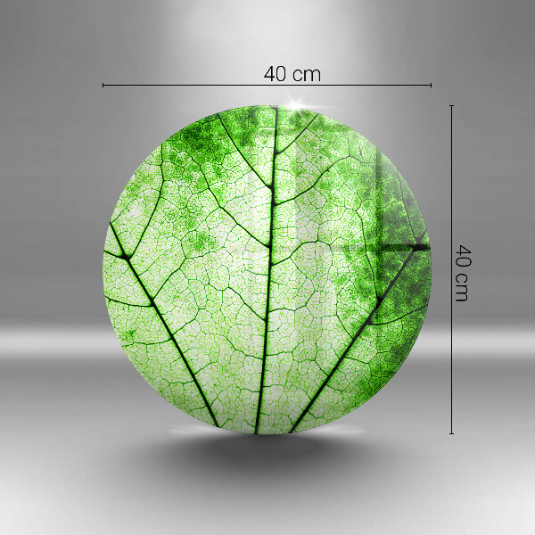 De vidrio templado Hoja de vena decorativa