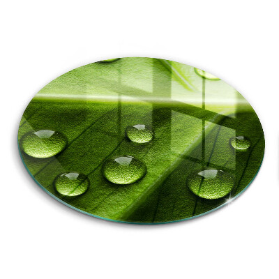 De vidrio templado Hoja y rocío de la naturaleza