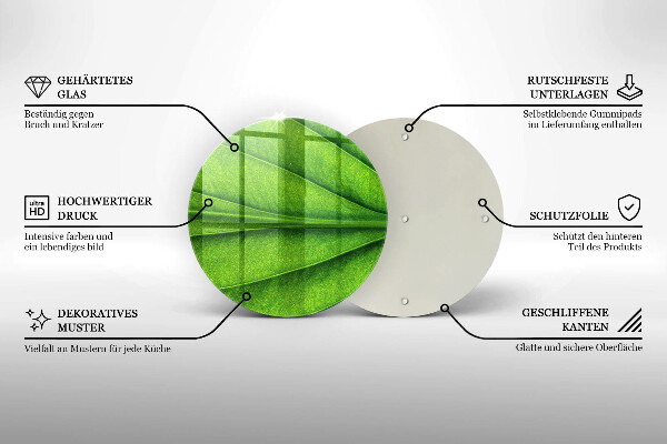 De vidrio templado Hoja de vena natural