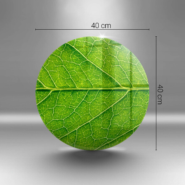 De vidrio templado Venas de las hojas naturales