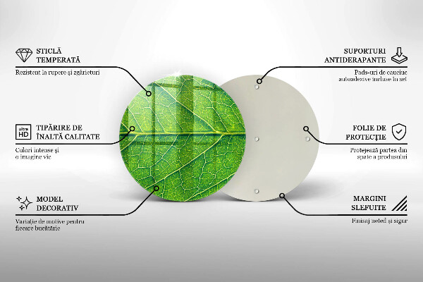 De vidrio templado Venas de las hojas naturales