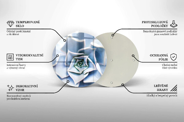 De vidrio templado Planta de flores