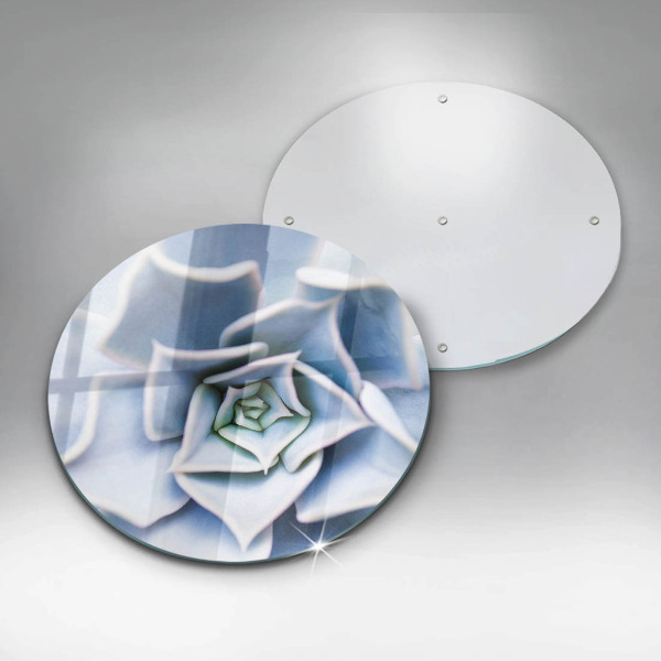 De vidrio templado Planta de flores