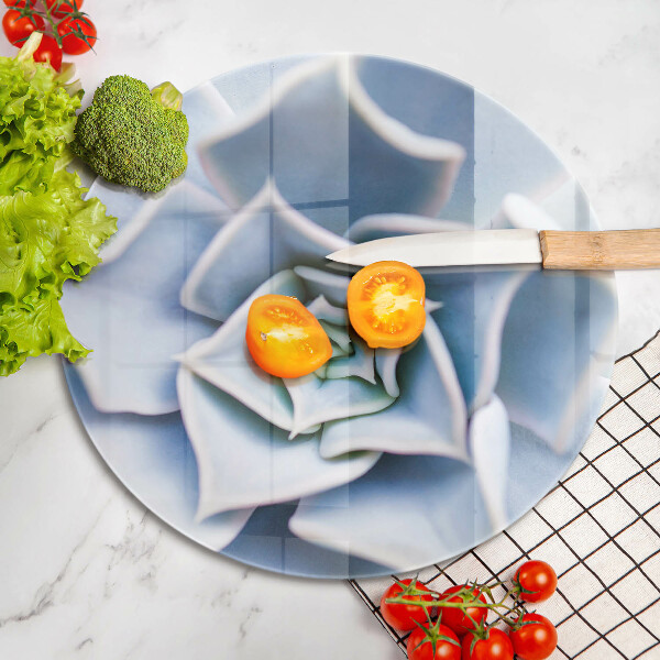 De vidrio templado Planta de flores