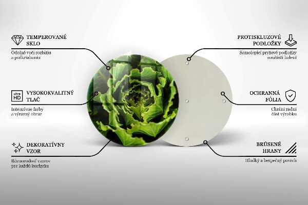 De vidrio templado Comer hojas de lechuga