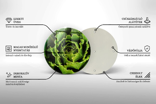 De vidrio templado Comer hojas de lechuga