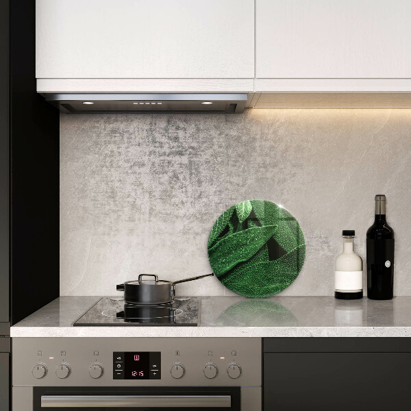 De vidrio templado Las hojas de la planta