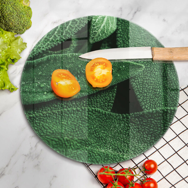 De vidrio templado Las hojas de la planta