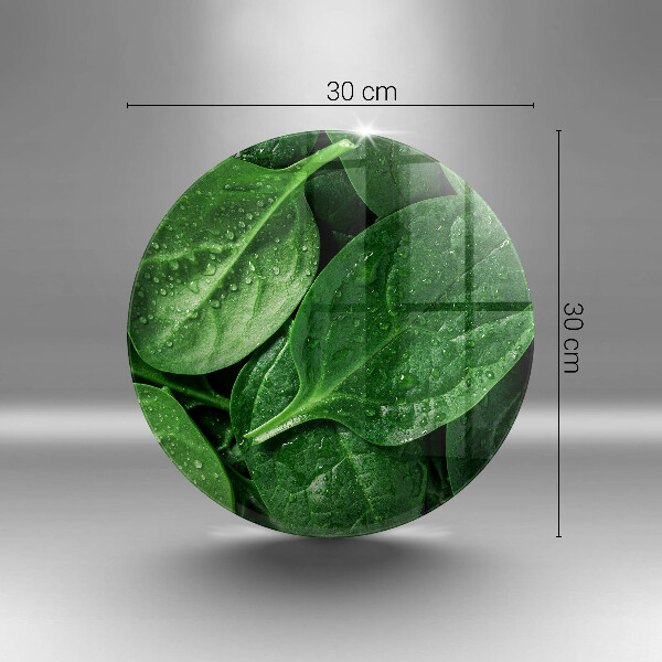 De vidrio templado Hojas de albahaca