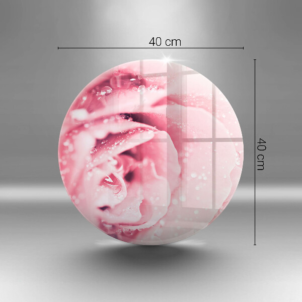 De vidrio templado Gotas de rocío y flor de rosa