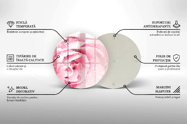 De vidrio templado Gotas de rocío y flor de rosa