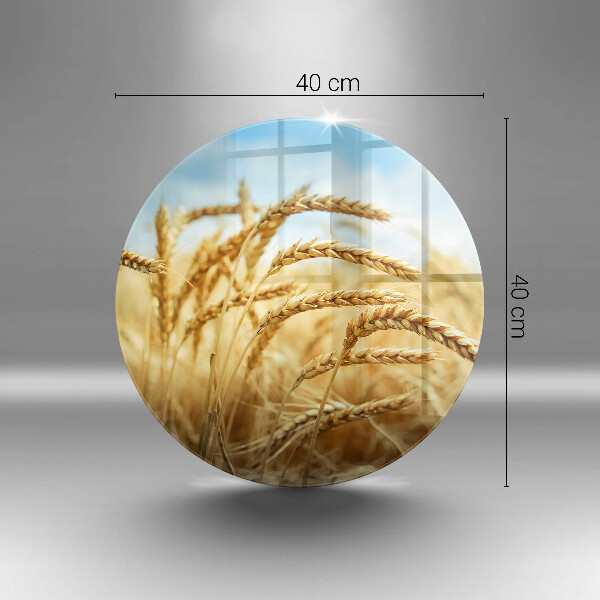 De vidrio templado Espigas de cereales en el campo