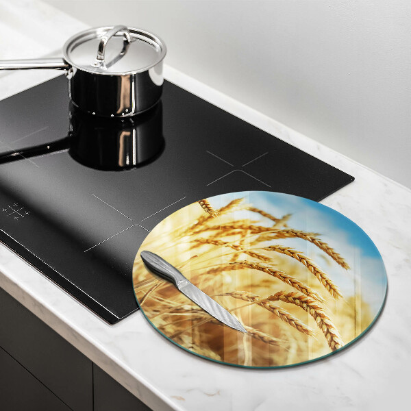 De vidrio templado Espigas de cereales en el campo