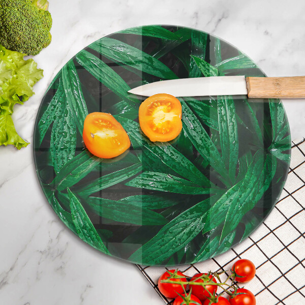 De vidrio templado Hojas de plantas