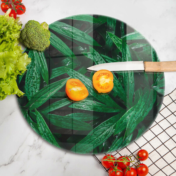 De vidrio templado Hojas de plantas