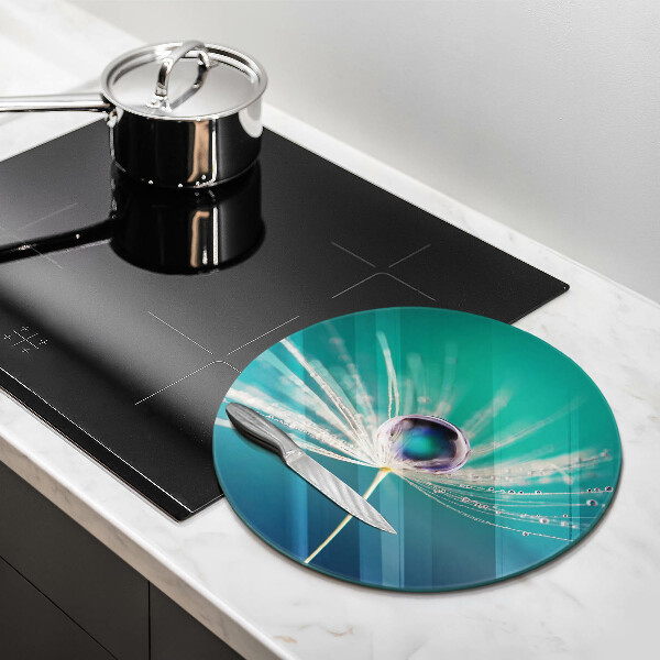 De vidrio templado Rocío sobre un diente de león