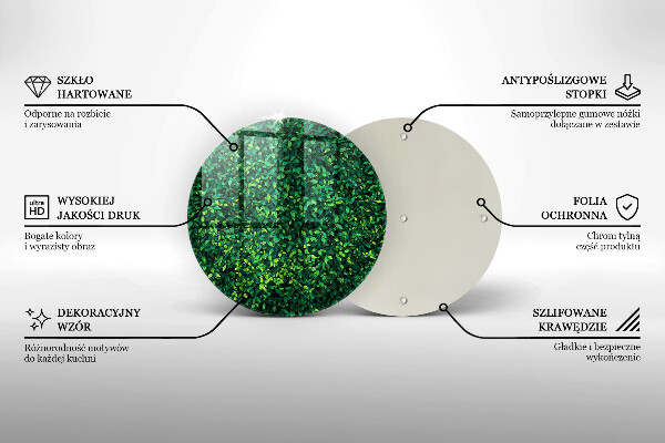 De vidrio templado Planta con hojas pequeñas