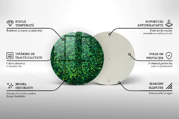 De vidrio templado Planta con hojas pequeñas