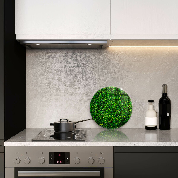 De vidrio templado Planta con hojas pequeñas