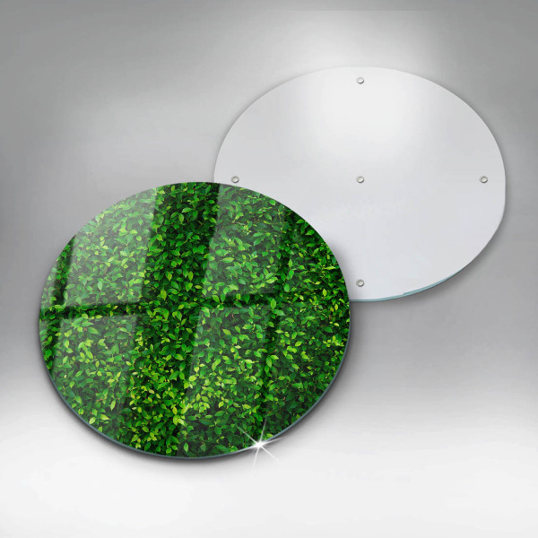 De vidrio templado Planta con hojas pequeñas