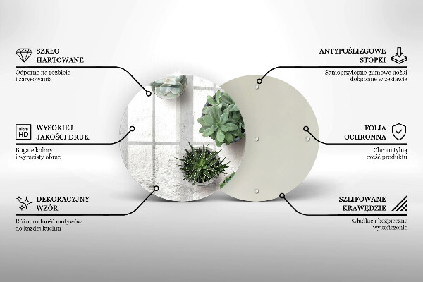 De vidrio templado Suculentas sobre concreto