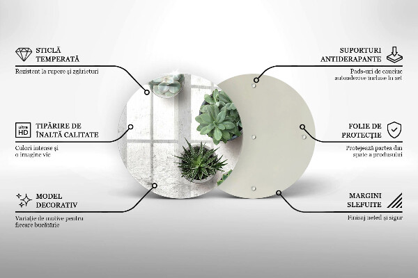 De vidrio templado Suculentas sobre concreto