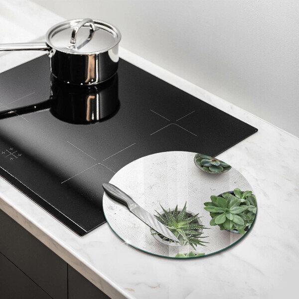 De vidrio templado Suculentas sobre concreto