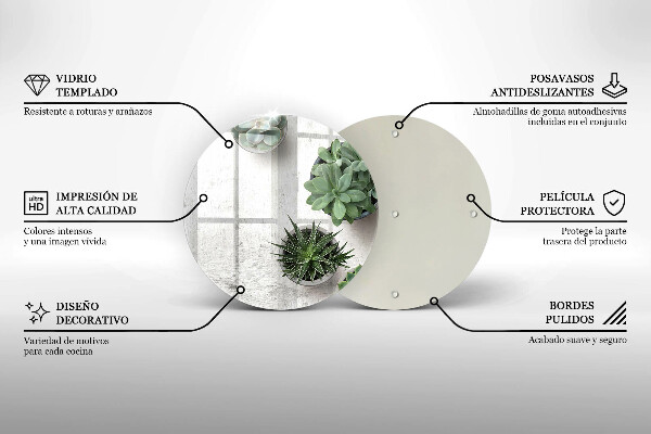 De vidrio templado Suculentas sobre concreto