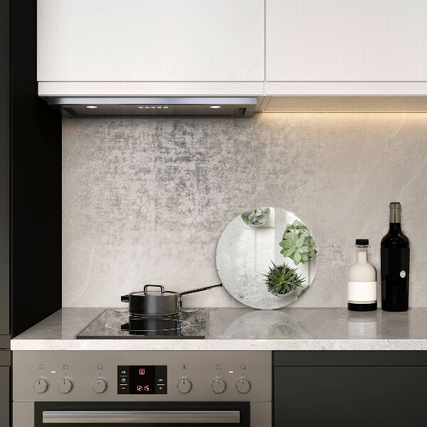 De vidrio templado Suculentas sobre concreto