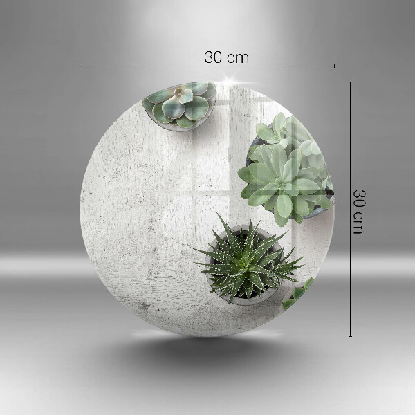 De vidrio templado Suculentas sobre concreto