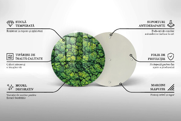 De vidrio templado Planta de musgo natural