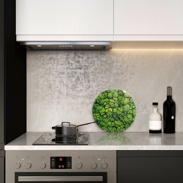 De vidrio templado Planta de musgo natural