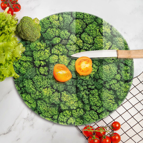 De vidrio templado Planta de musgo natural