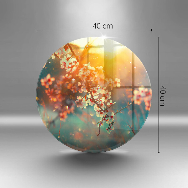 De vidrio templado La manzana florece al sol