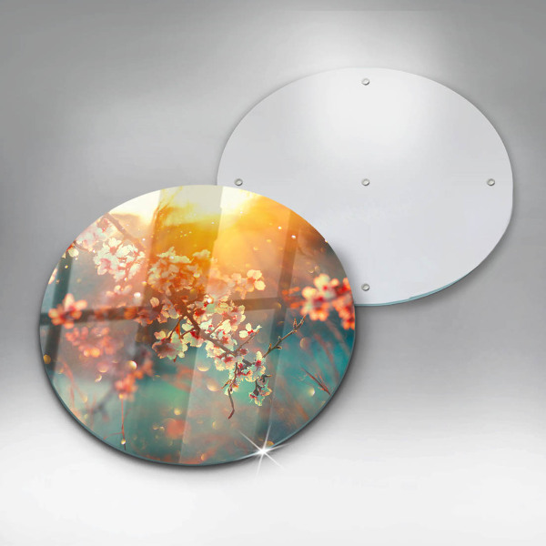 De vidrio templado La manzana florece al sol