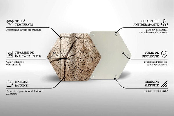 Tabla de cortar de vidrio Sección transversal de un árbol