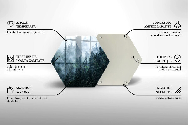 Tabla de cortar de vidrio Árboles forestales y niebla
