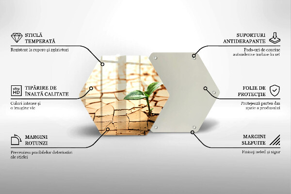 Tabla de cortar de vidrio Una planta solitaria