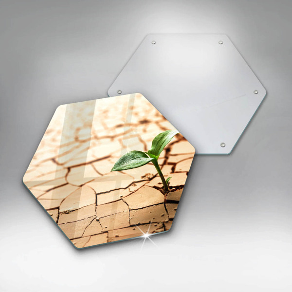 Tabla de cortar de vidrio Una planta solitaria