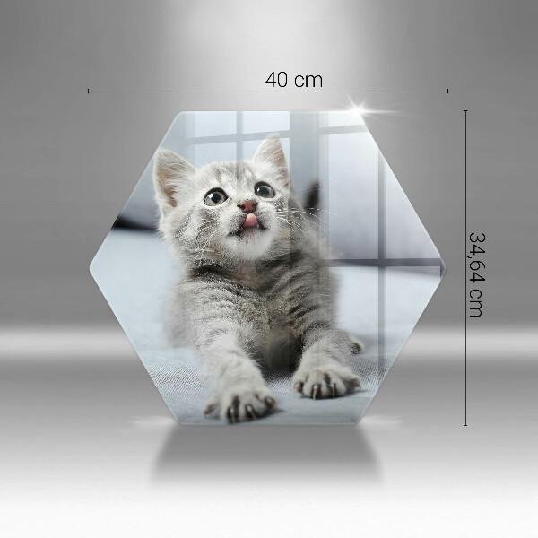 Tabla de cortar de vidrio Pequeño gatito lindo