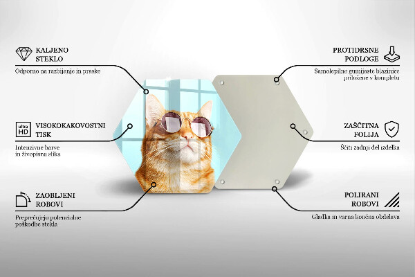 Tabla de cortar de vidrio Gato rojo con gafas