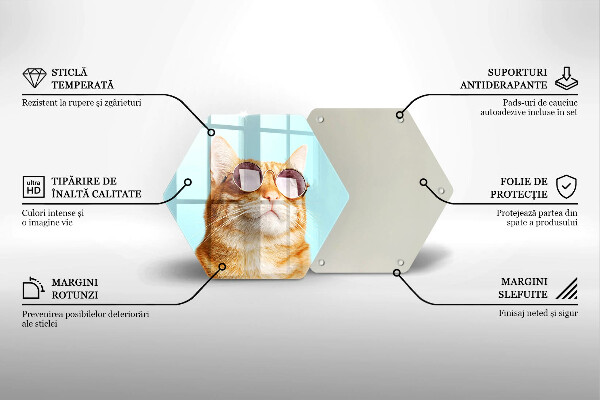 Tabla de cortar de vidrio Gato rojo con gafas