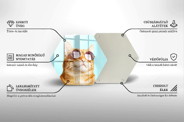 Tabla de cortar de vidrio Gato rojo con gafas