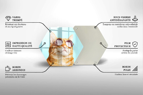 Tabla de cortar de vidrio Gato rojo con gafas