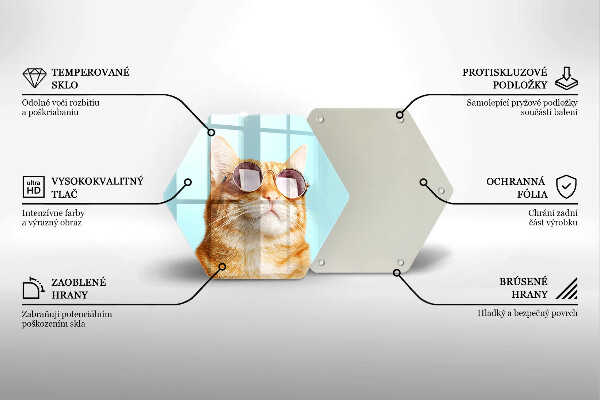 Tabla de cortar de vidrio Gato rojo con gafas