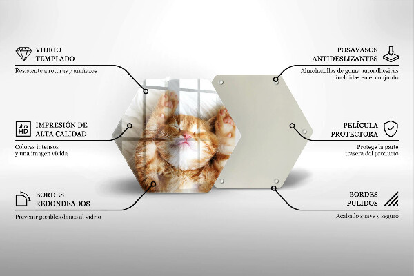 Tabla de cortar de vidrio Pequeño gatito lindo