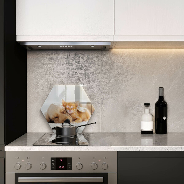 Tabla de cortar de vidrio Animales perro y gato