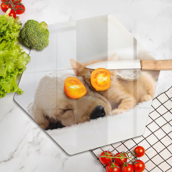 Tabla de cortar de vidrio Animales perro y gato