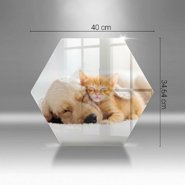 Tabla de cortar de vidrio Animales perro y gato